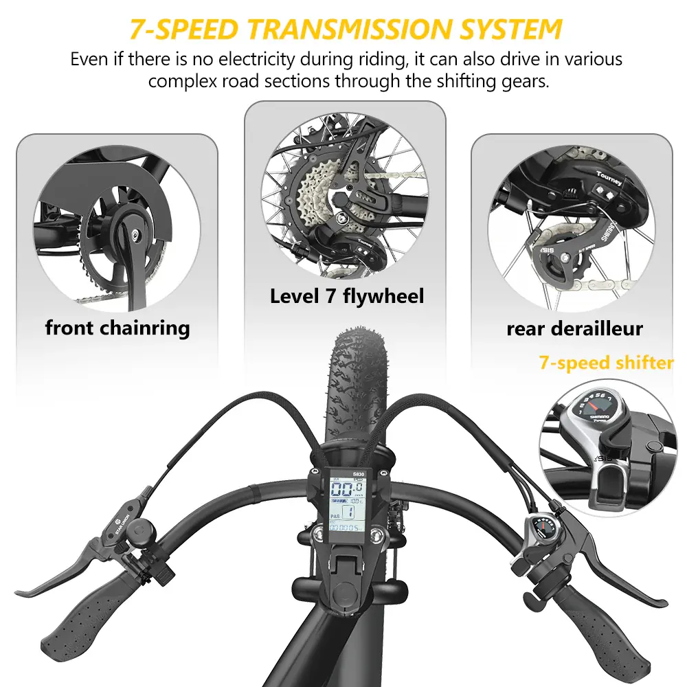Hidoes B3 Fat Tyre Electric Bike image 11