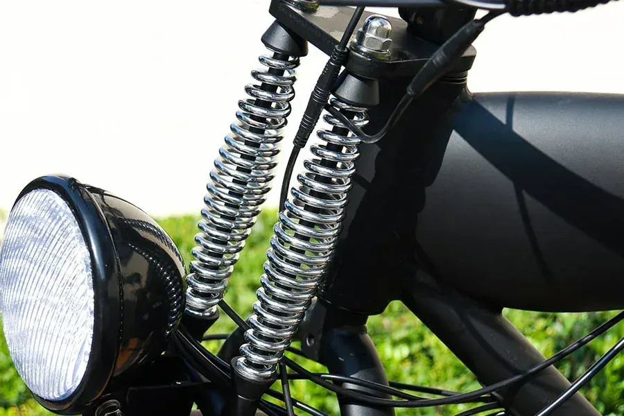 Hidoes B3 Fat Tyre Electric Bike image 3