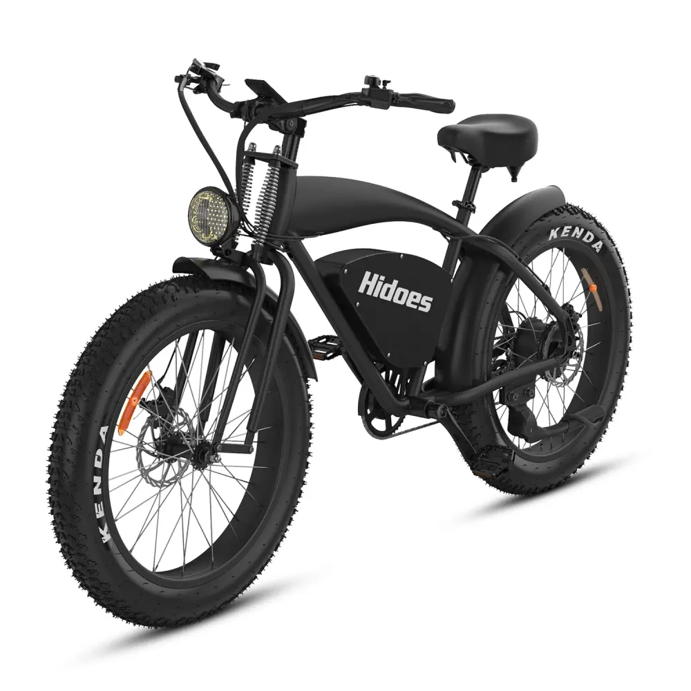 Hidoes B3 Fat Tyre Electric Bike image 8