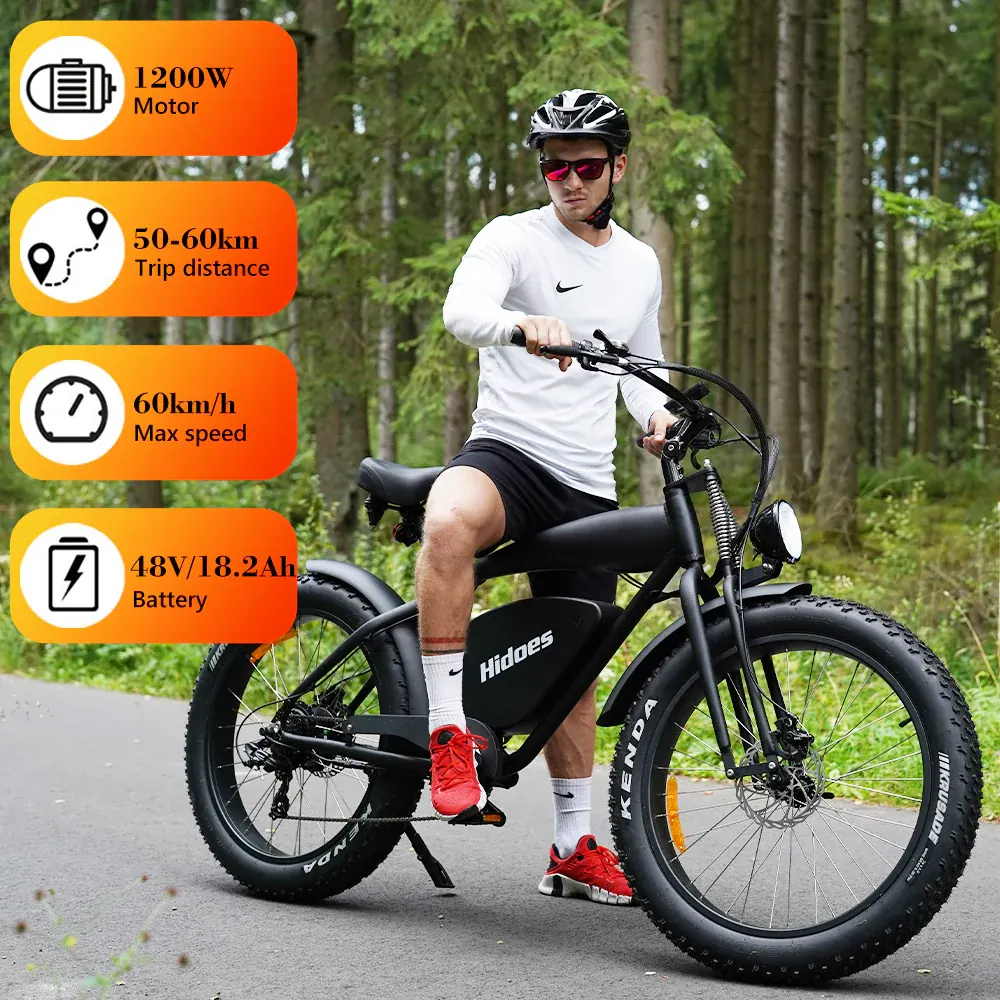 Hidoes B3 Fat Tyre Electric Bike image 9