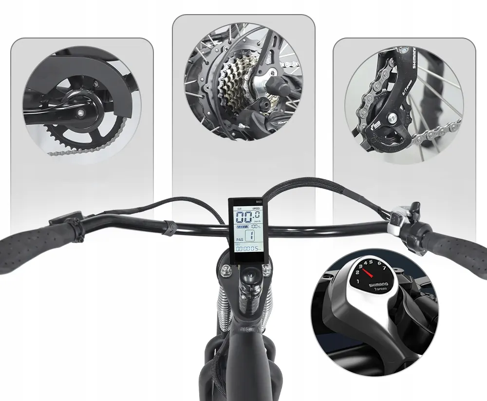 HIDOES B3 Fat Tire Electric Bike image 12
