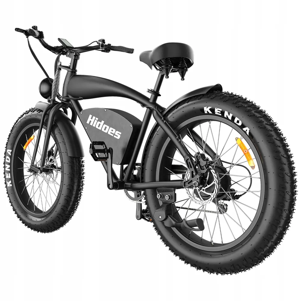 HIDOES B3 Fat Tire Electric Bike image 2