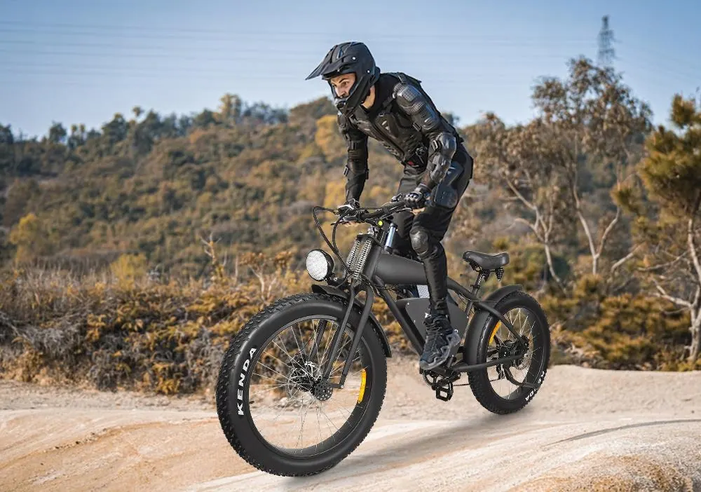 HIDOES B3 model electric bike with fat tires