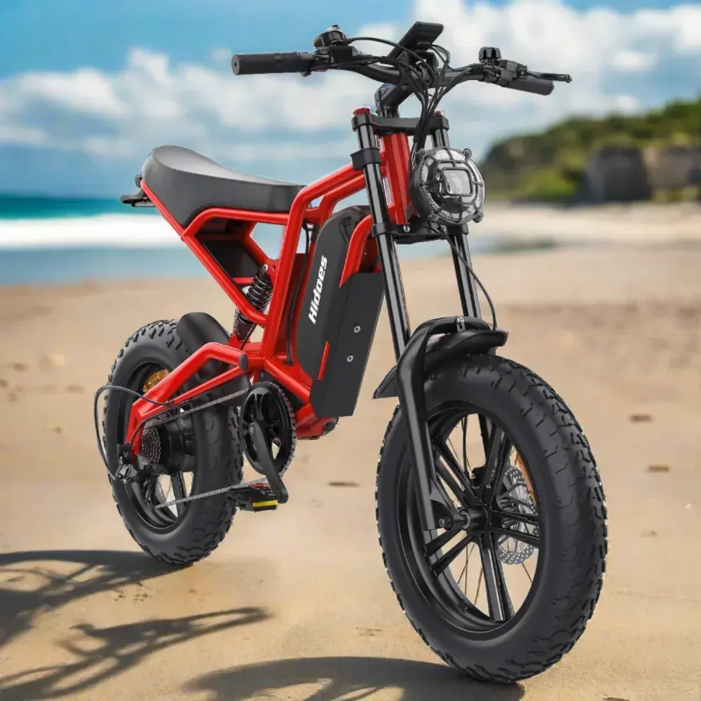 Hidoes B6 Cruiser Electric Bike for Adults image 12