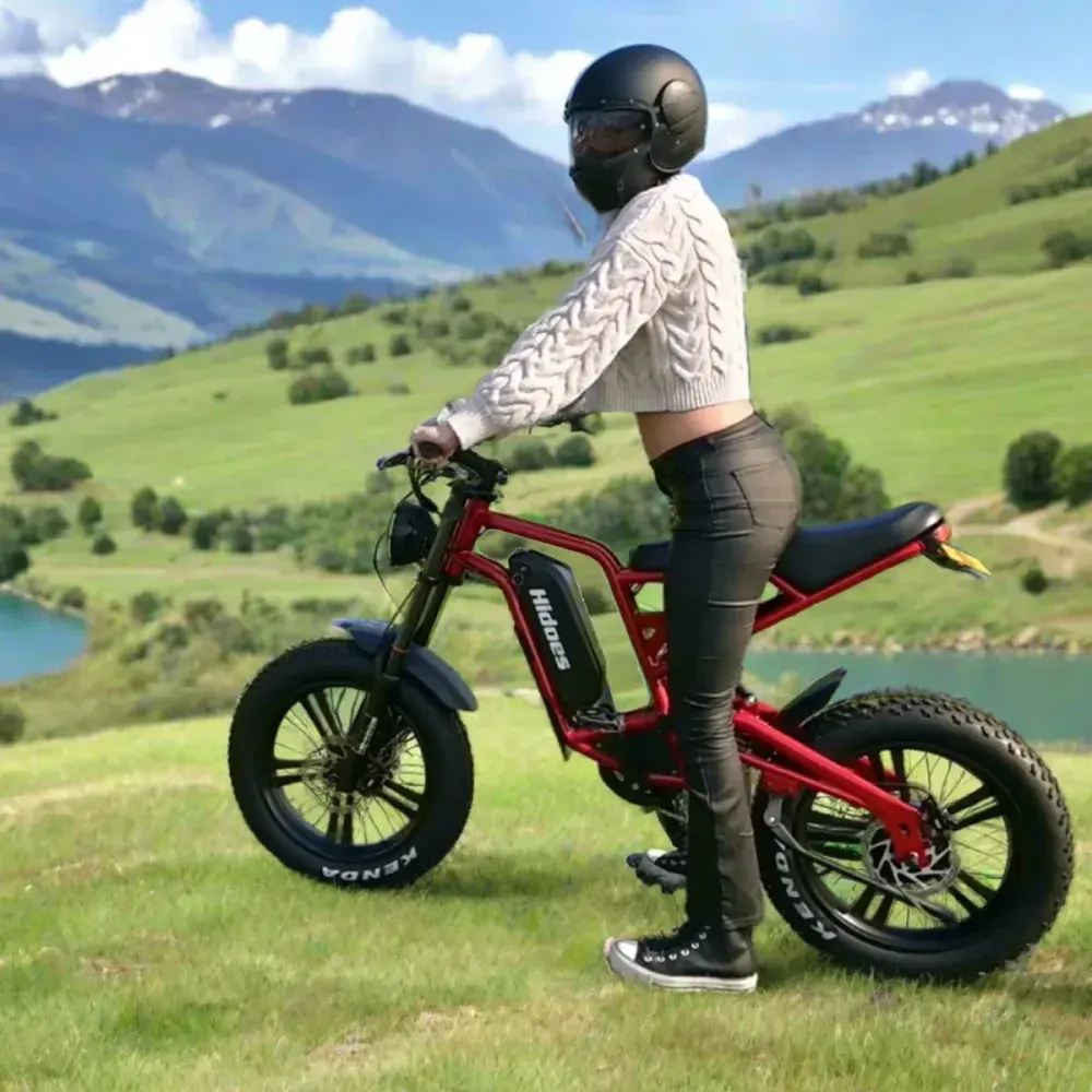 Hidoes B6 Cruiser Electric Bike for Adults image 3