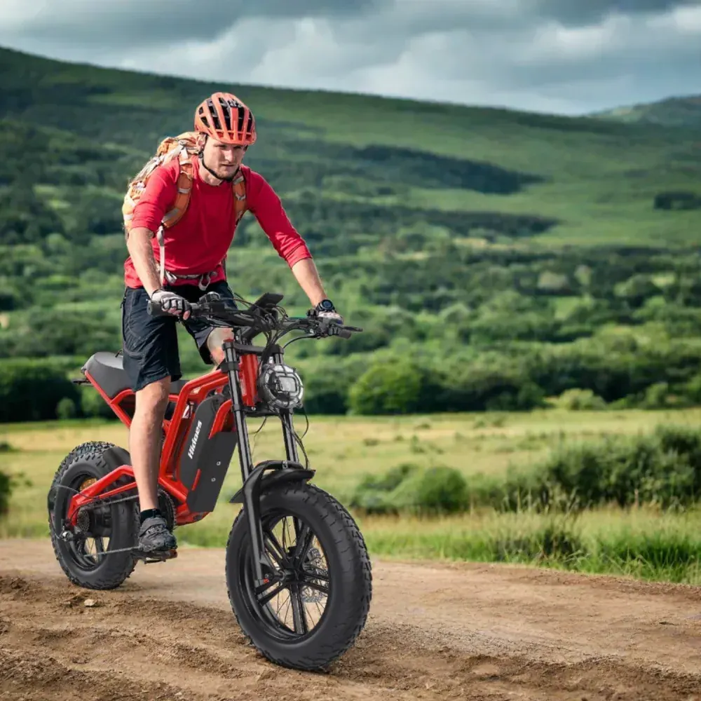 Hidoes B6 Cruiser Electric Bike for Adults image 4