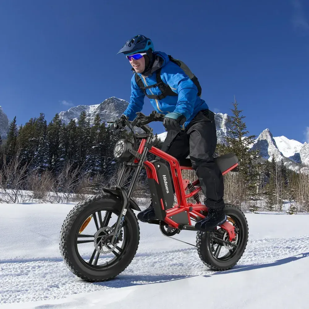Hidoes B6 Cruiser Electric Bike for Adults image 5
