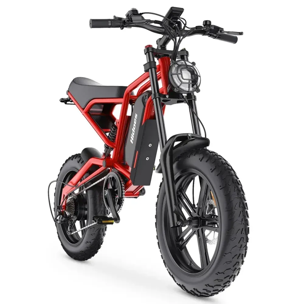 Hidoes B6 Cruiser Electric Bike for Adults image 13