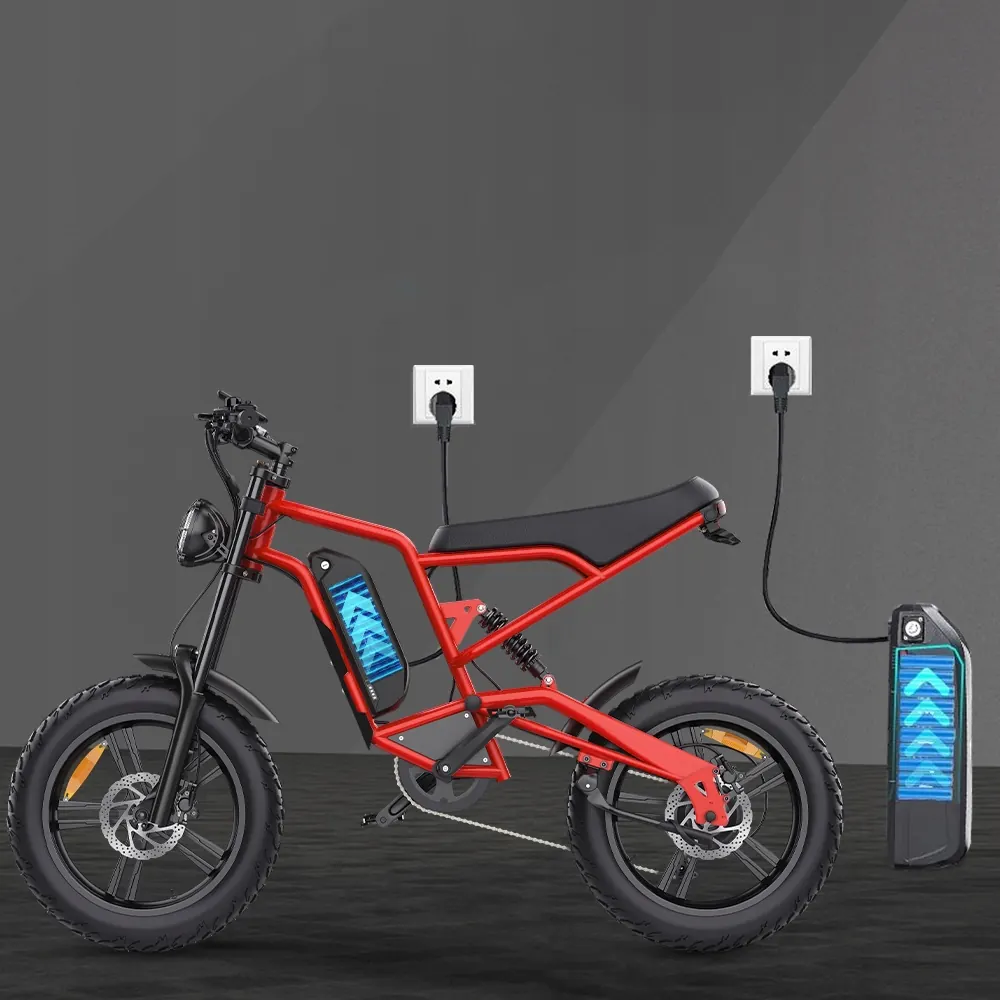 HIDOES B6 Electric Scooter image 6