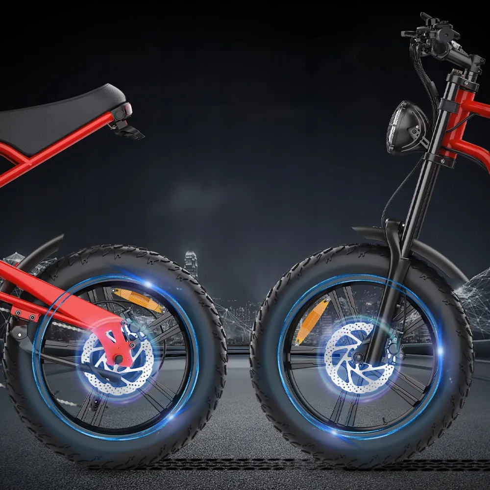 Hidoes B6 electric bike brand logo, 48V 15Ah battery, hydraulic disc brakes.