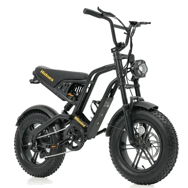Hidoes B6 Mini Folding Electric Bike image 1