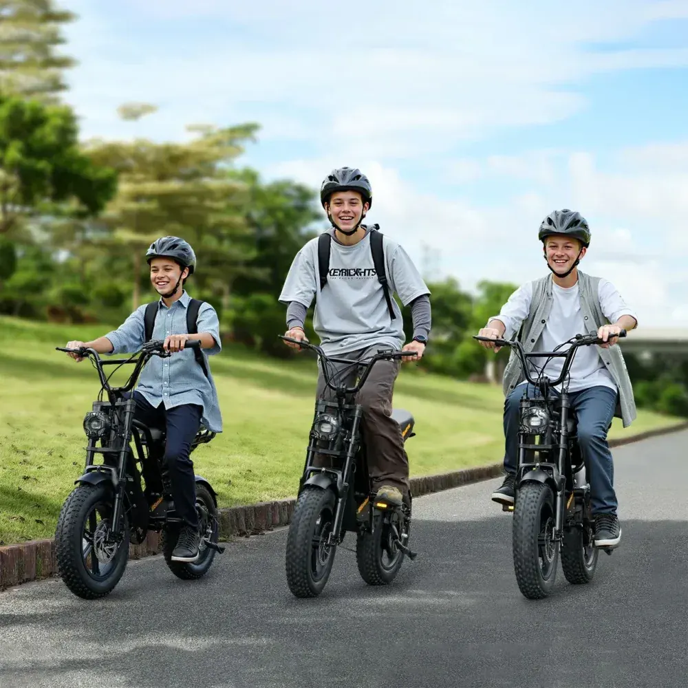 Hidoes B6 Mini Folding Electric Bike view 8