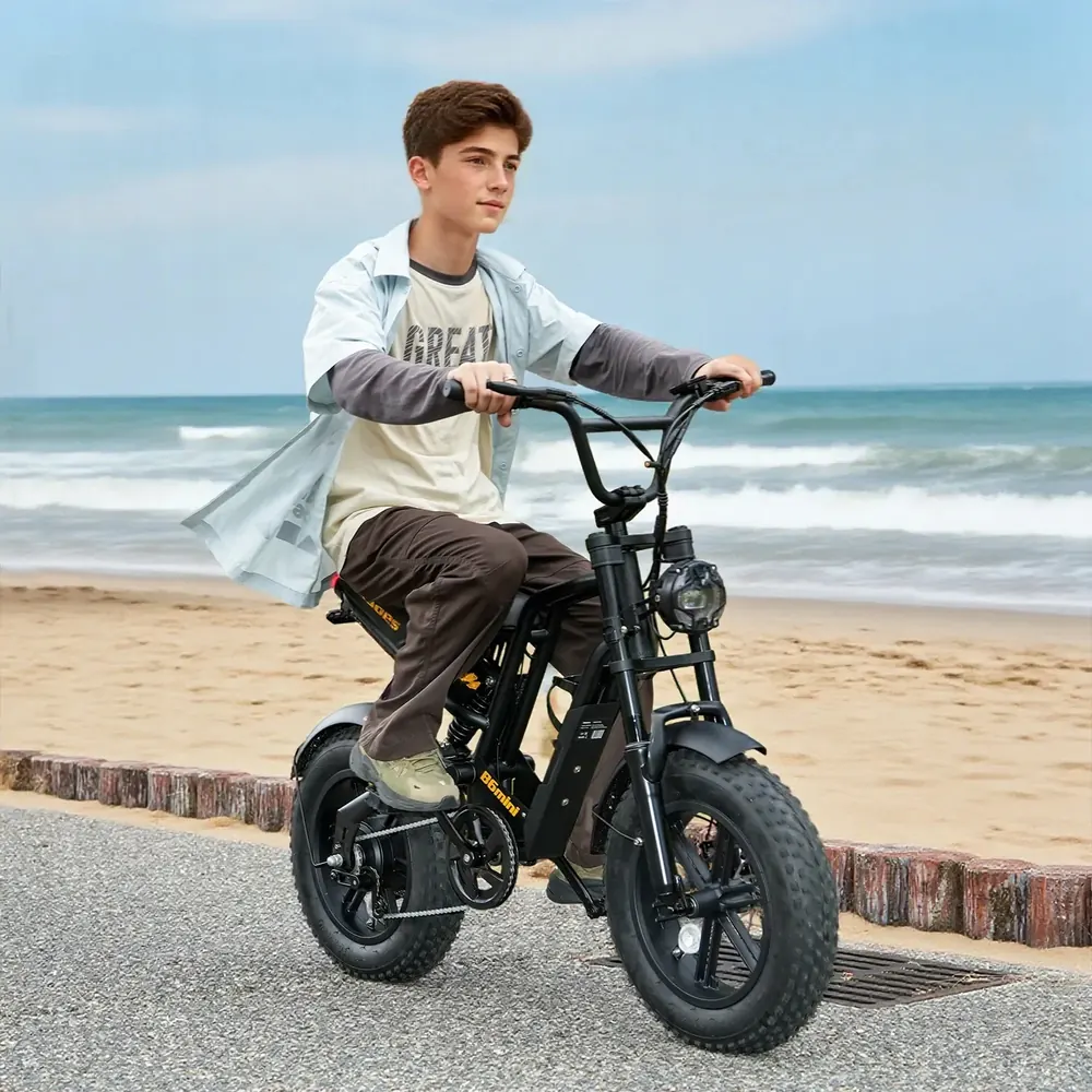 Hidoes B6MINI electric bike in original packaging ready for delivery