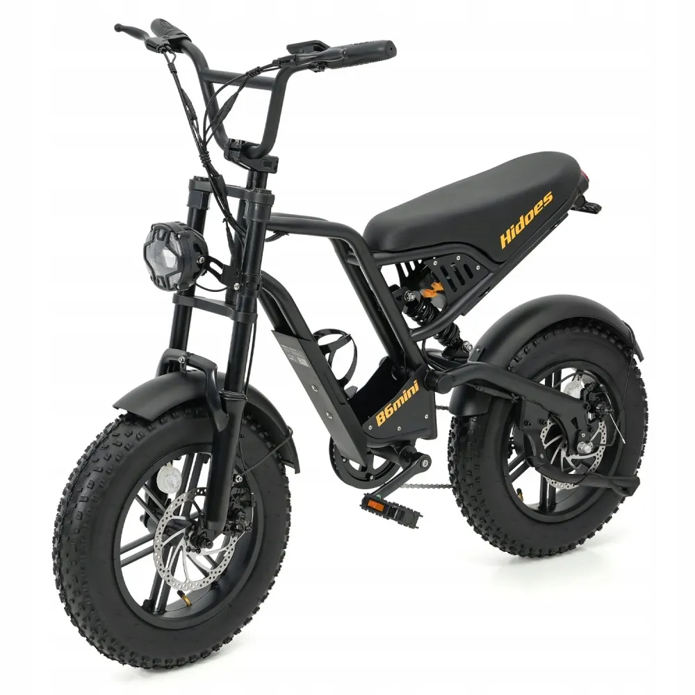 Hidoes B6MINI electric bike suitable for riders 155-180 cm tall