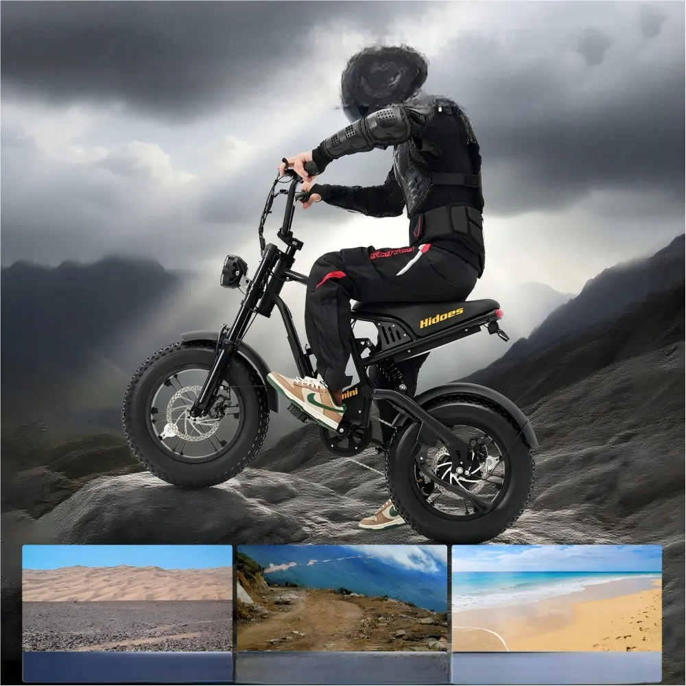 Black Hidoes B6MINI electric bike with 500W motor
