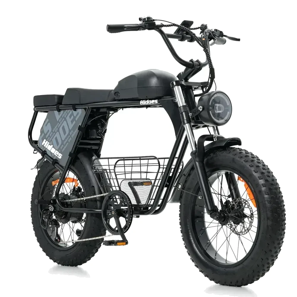 Hidoes B9 Dual Battery Fat Tyre Electric Bike image 1