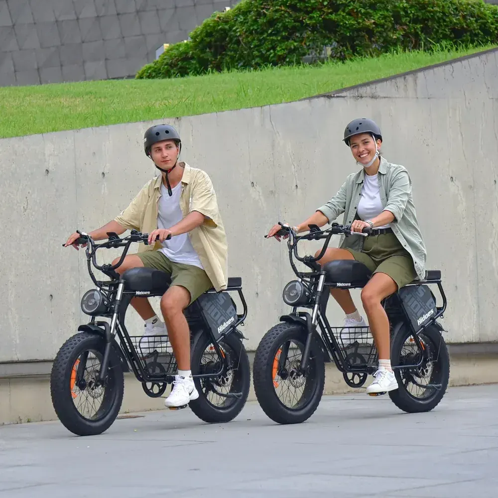 Hidoes B9 Dual Battery Fat Tyre Electric Bike image 3
