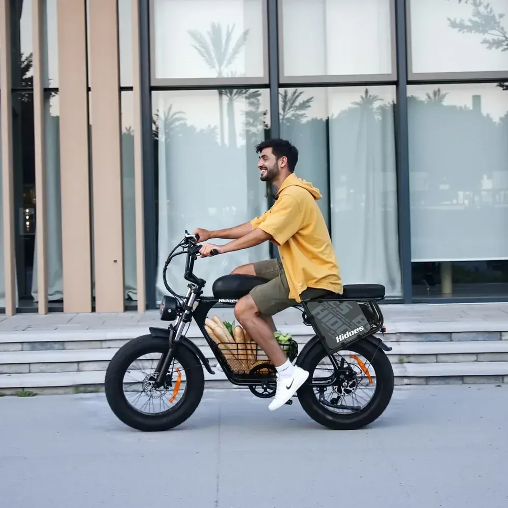 Hidoes B9 Dual Battery Fat Tyre Electric Bike image 4