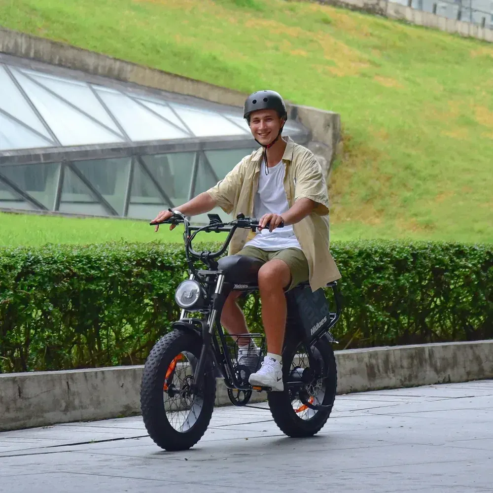 Hidoes B9 Dual Battery Fat Tyre Electric Bike image 5
