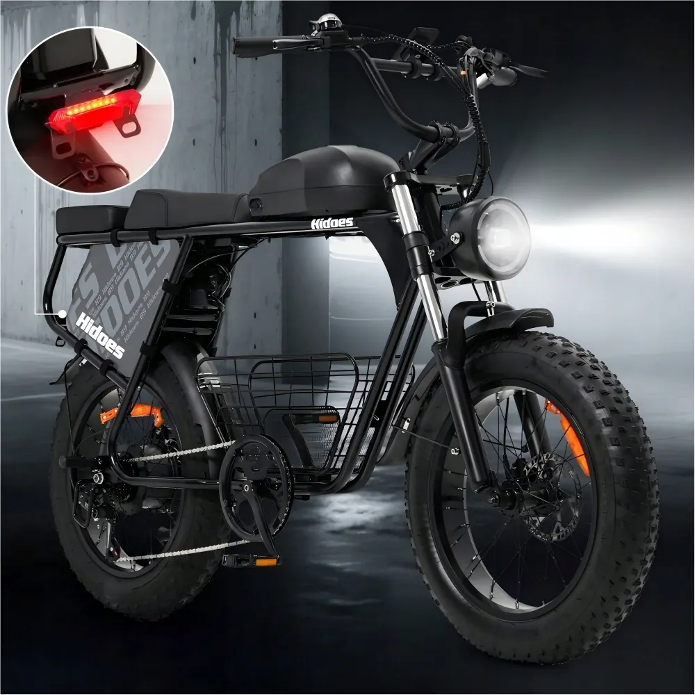 HIDOES B9 Fat Tire Electric Bike image 10