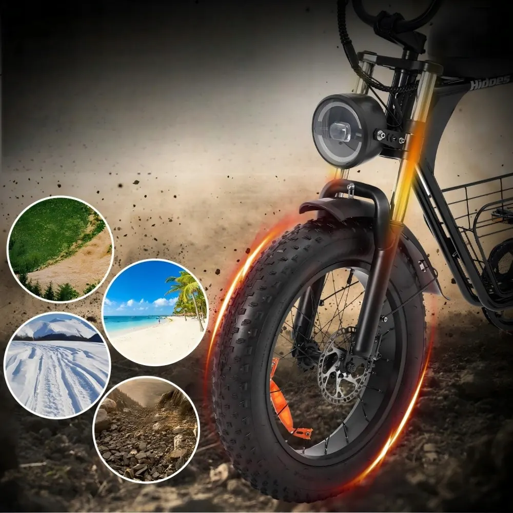 HIDOES B9 Fat Tire Electric Bike image 12