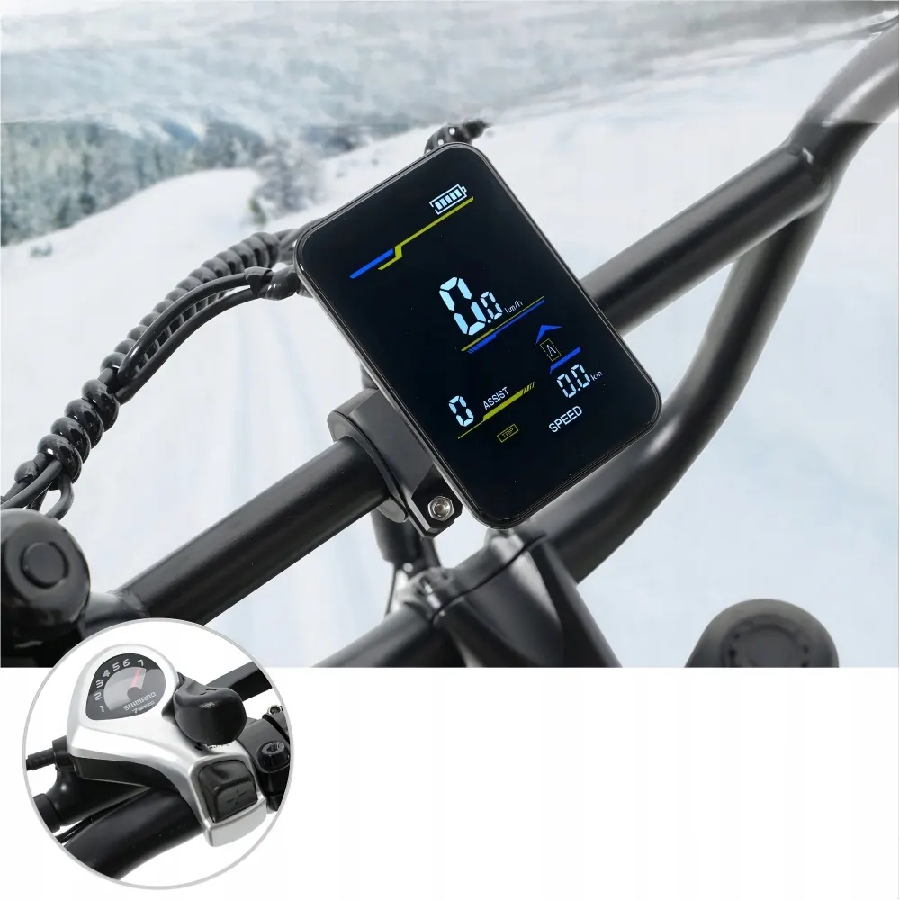 Hidoes B9 electric bike brand logo on frame, 1000W motor, fat tire 20 inch