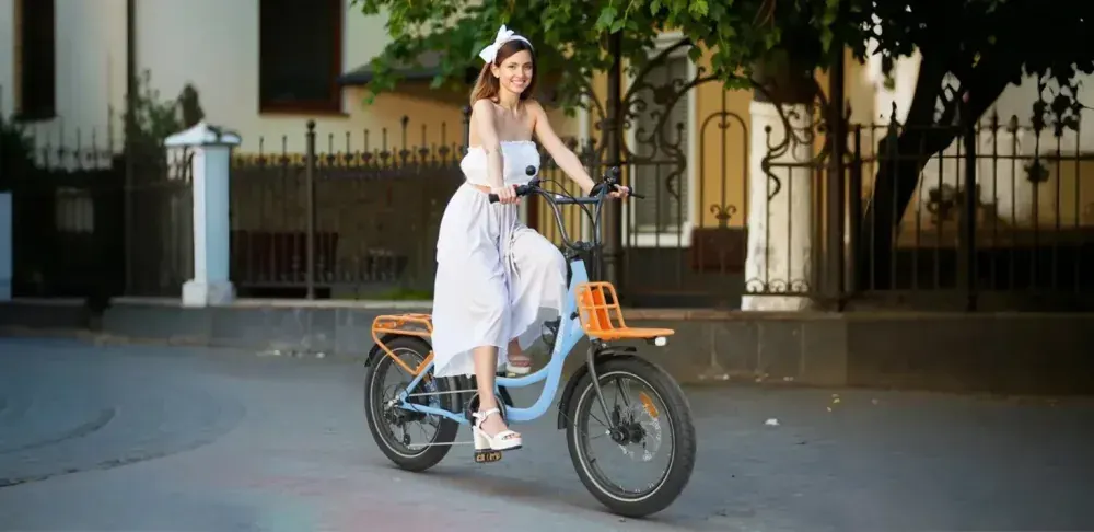Hidoes C6 Fat Tyre Electric Bike image 2