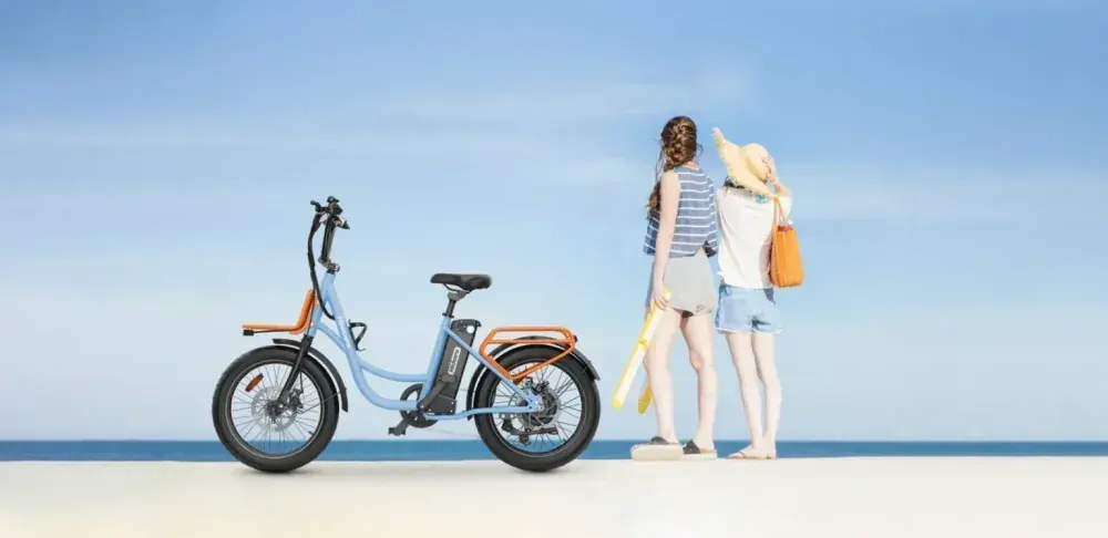 Hidoes C6 Fat Tyre Electric Bike image 3