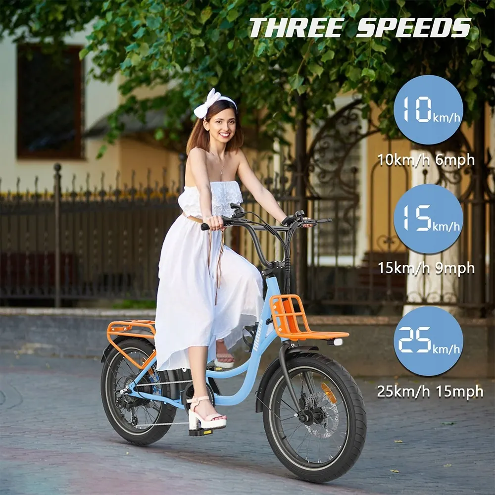 HIDOES C6 Fat Tyre Electric Bike image 6