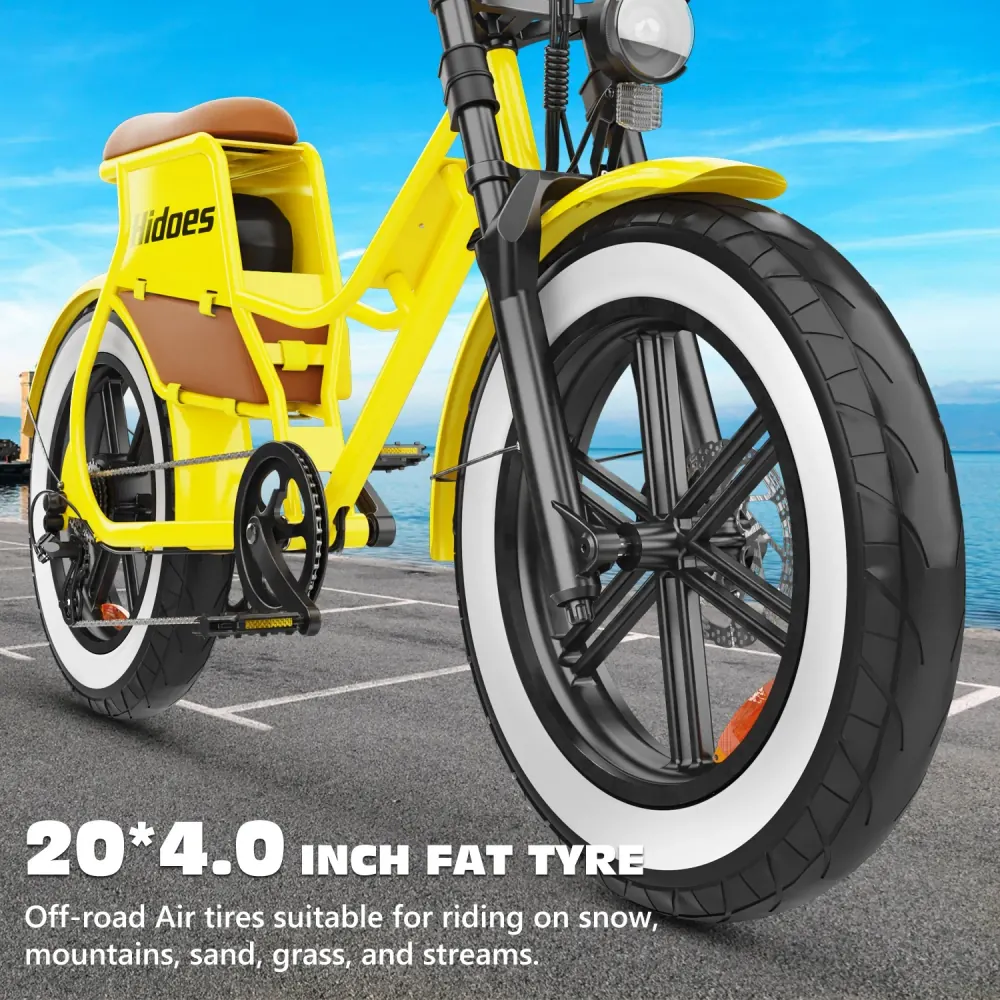 Hidoes C8 Fat Tire Electric Bike image 10