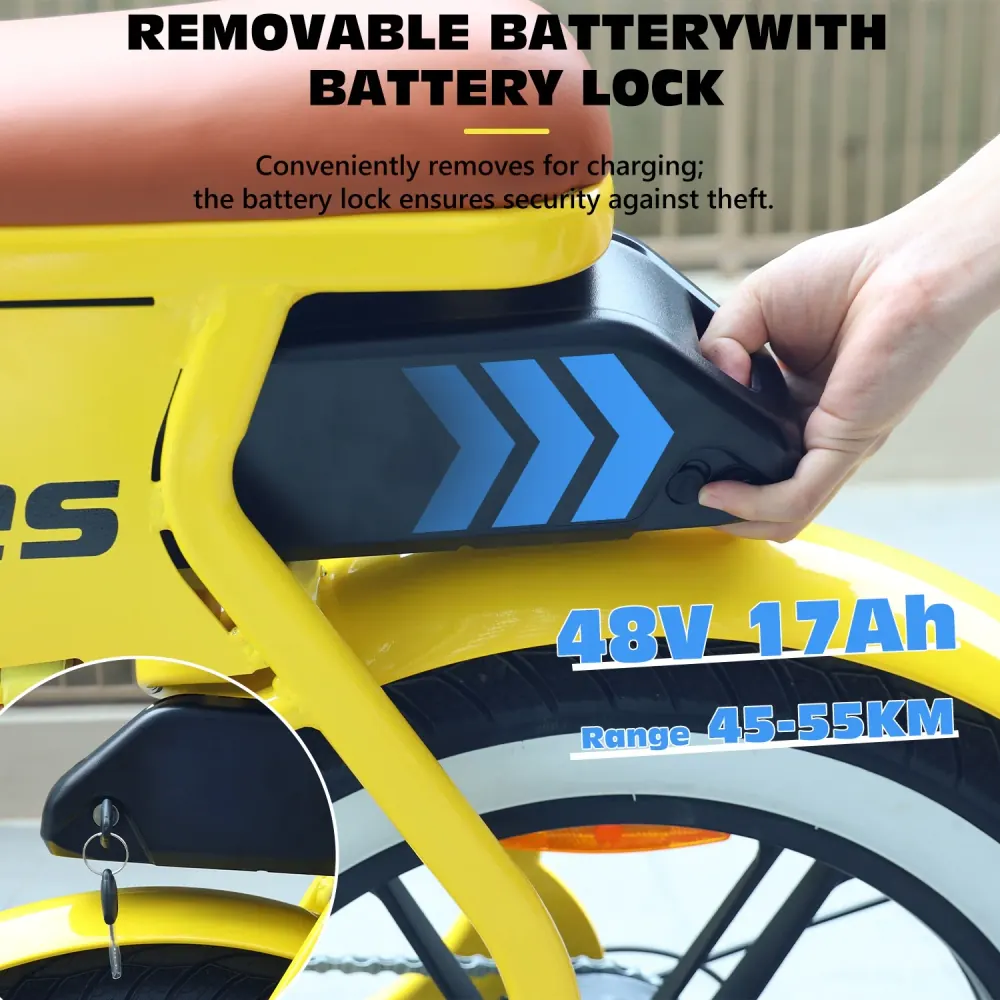 Hidoes C8 Fat Tire Electric Bike image 11