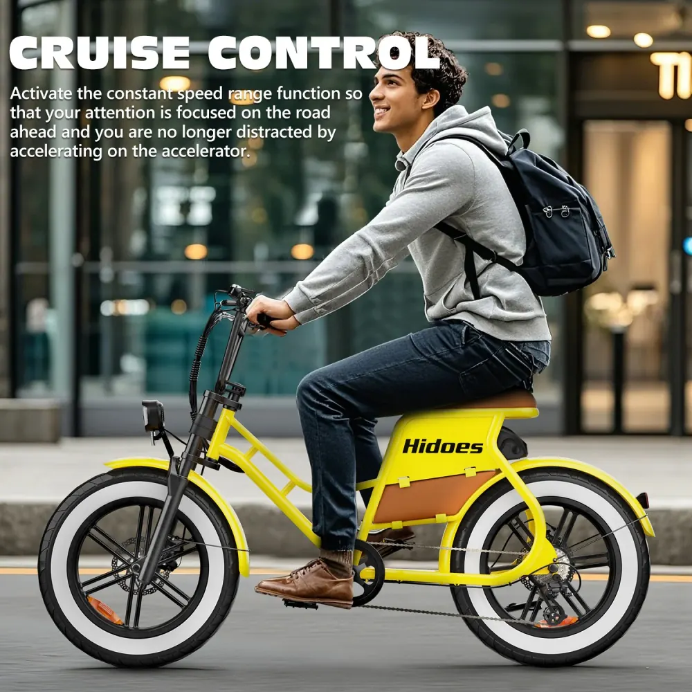 Hidoes C8 Fat Tire Electric Bike image 9