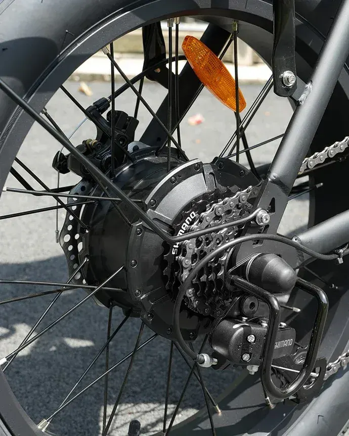 Hidoes F3 Fat Tire Electric Bike image 12
