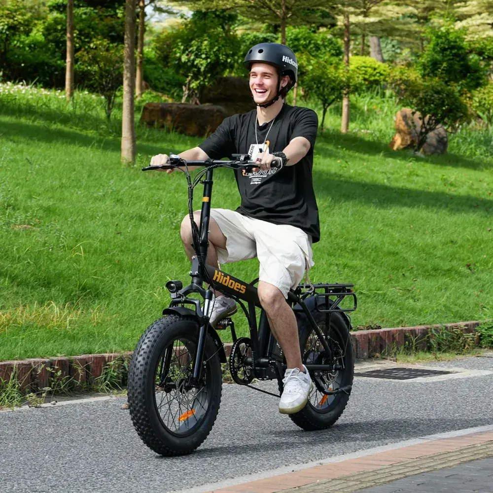 Hidoes F3 Fat Tire Electric Bike image 8