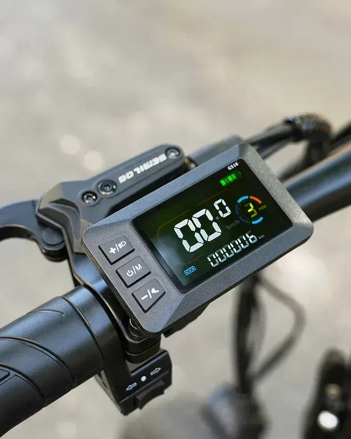 Hidoes F3 PRO Cargo Electric Bike image 11