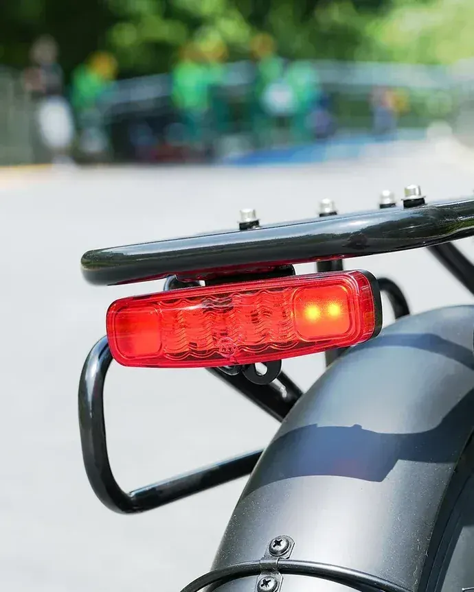 Hidoes F3 PRO Cargo Electric Bike image 12
