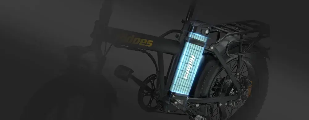 Hidoes F3 PRO Cargo Electric Bike image 4