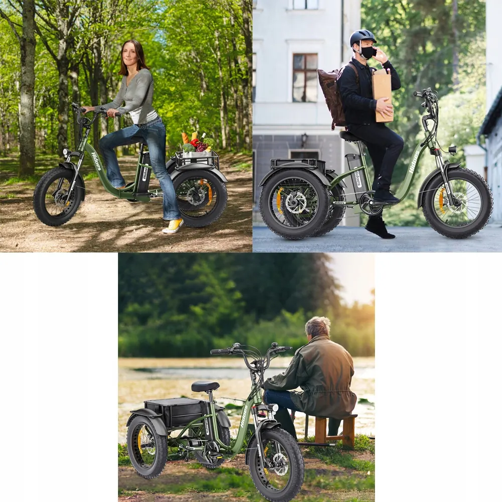 HIDOES HD-ET1 All-Terrain Electric Bike image 13