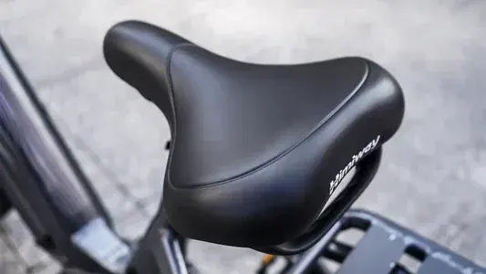 Himiway Big Dog Electric Cargo Bike image 10