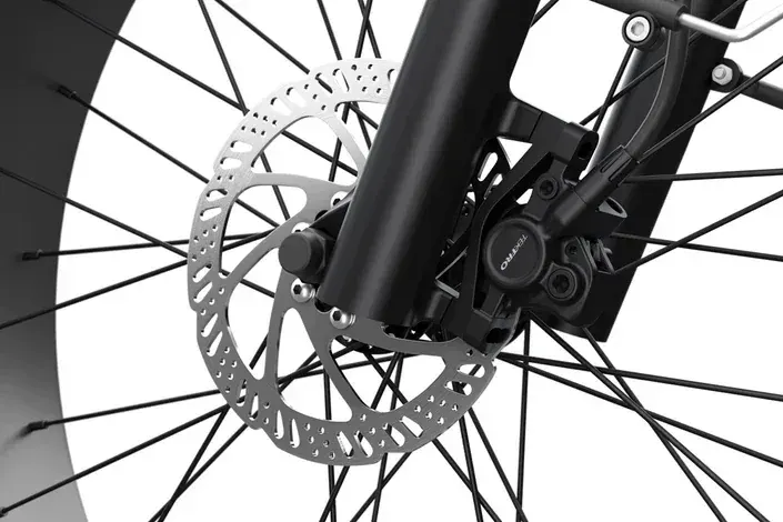 Himiway D5 (Zebra) Premium All-Terrain Electric Fat Bike image 8