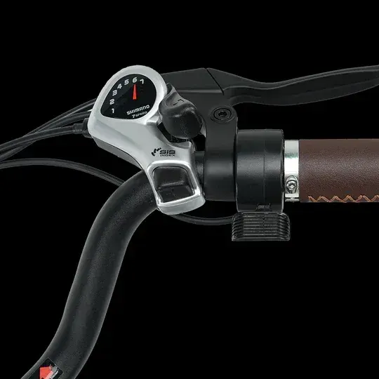 isinwheel U2 pneumatic tire and front suspension fork detail