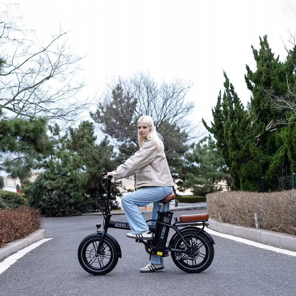 KOOLUX X10 Folding Electric Bike image 13