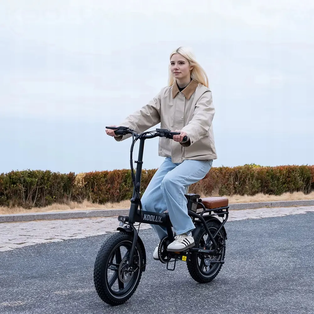KOOLUX X10 electric bike frame material other than standard with 350W motor