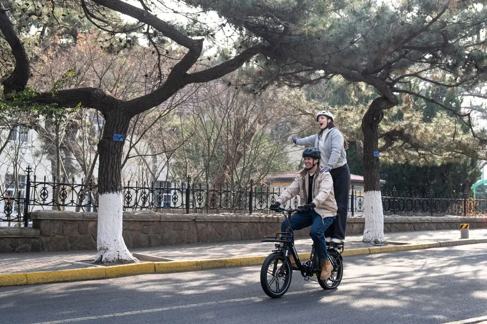 KOOLUX X16 Folding Electric Bike image 14