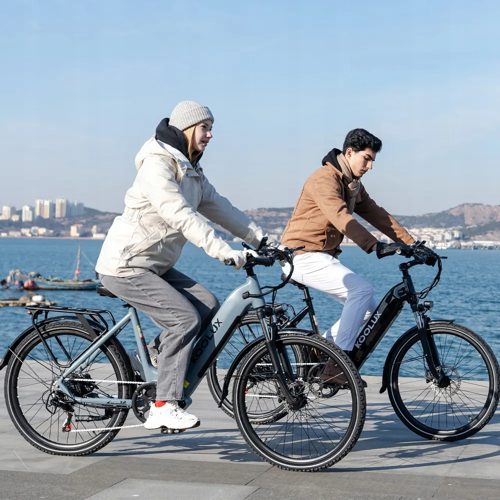 KOOLUX X2 Electric Scooter image 4