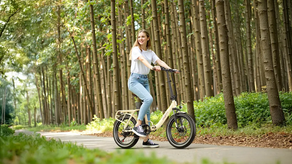 ONESPORT OT16-2 Folding Electric Bike image 16