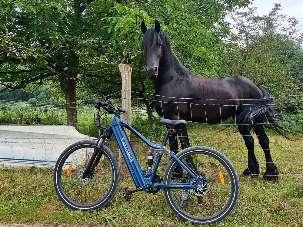 SAMEBIKE XD26-II Electric Mountain Bike image 12