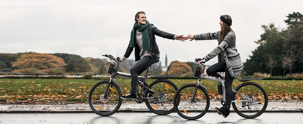 VARUN M26-3 PRO Folding Electric Bike, product photo