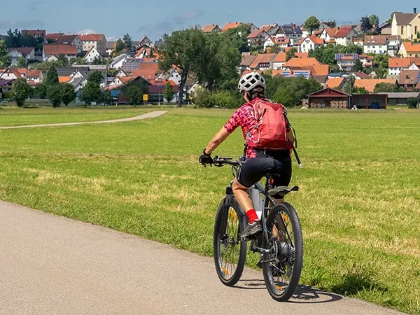 VARUN 250W Mountain Electric Bike image 14