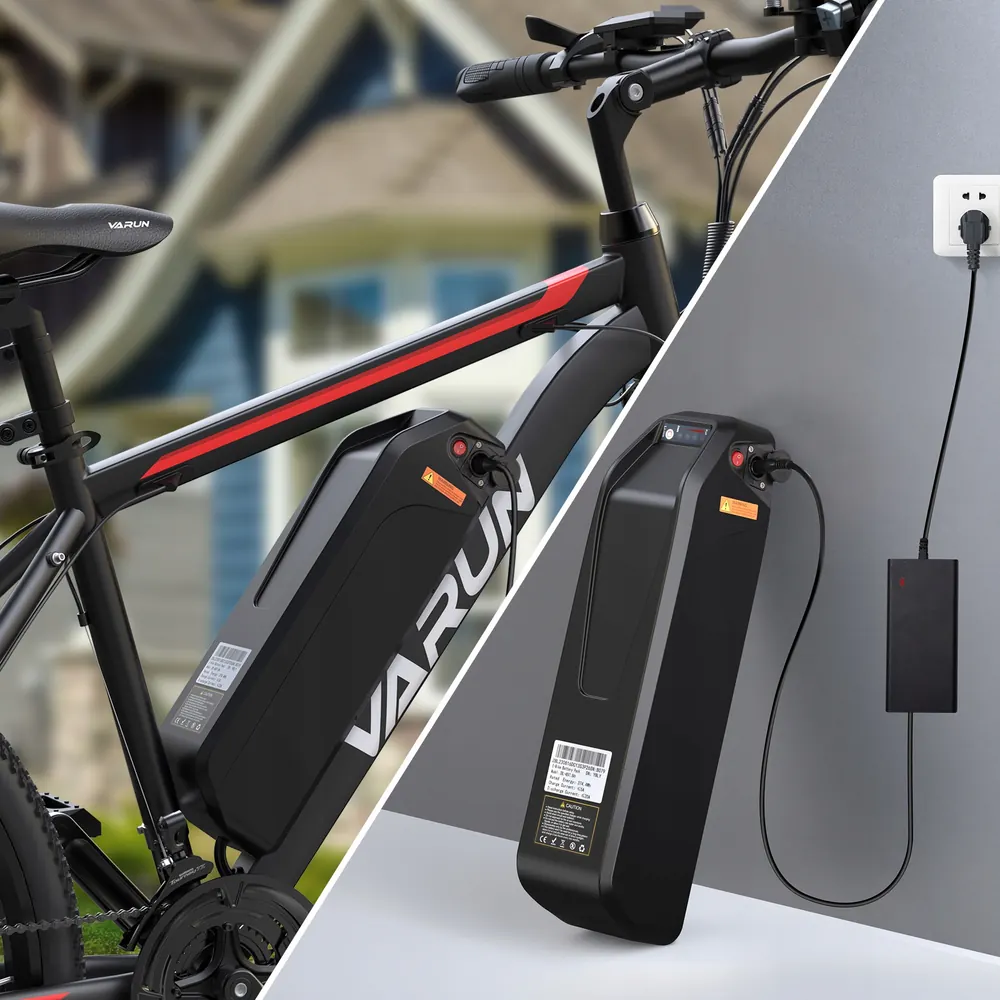 VARUN 250W Mountain Electric Bike image 4